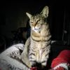 judithanne346